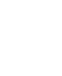 Raindance Awards
